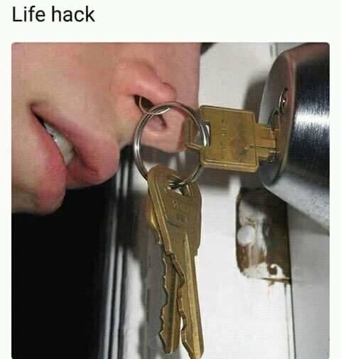 5931000378d670e50ff2