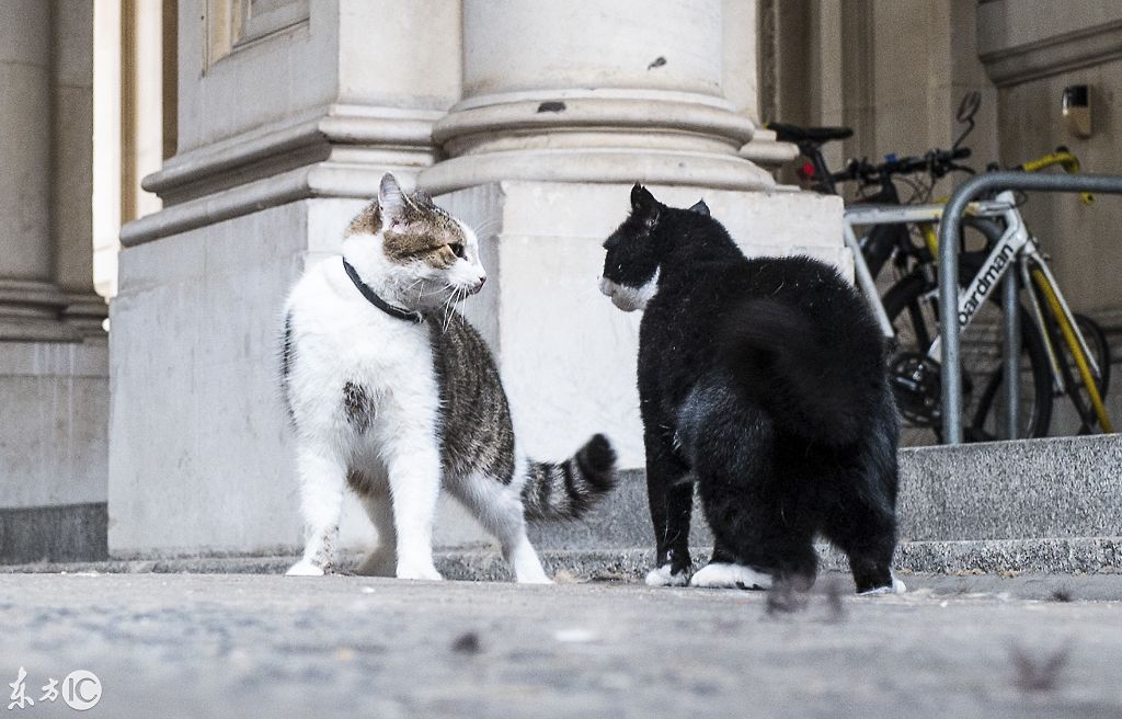 592f000508386378da12