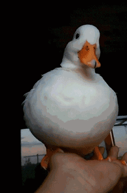 593b000456f61f966f54