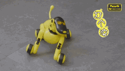 593d0004144469fb2ff5
