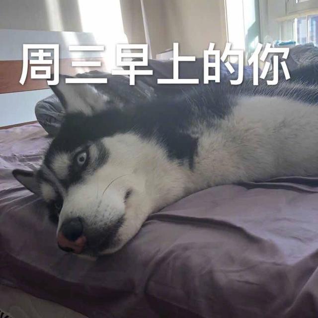 593c00041a39105b783c