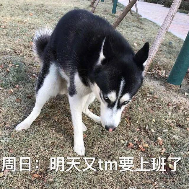 59430001372a843c1313