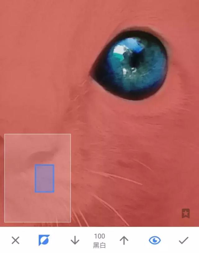 594000034d3f5e397d0d