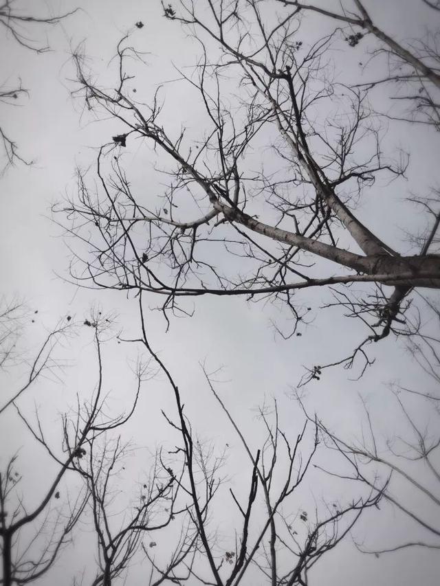594700032e480d2eb086