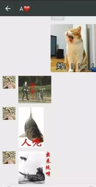5b3f0000a435d349d7b5