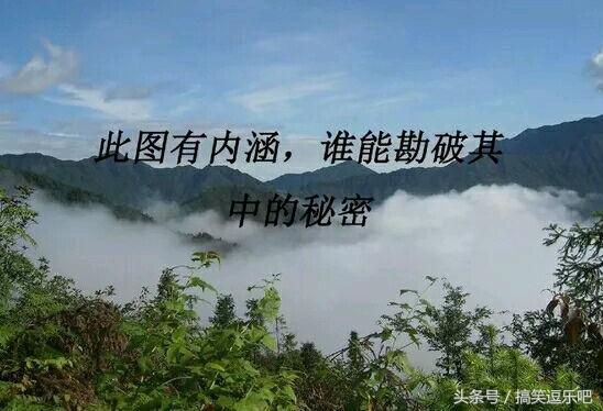 5b440000cc41e2f22a6b