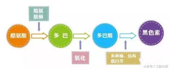 5b44000431a7dd109b6d