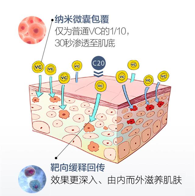 5b500005d42fc67541cb