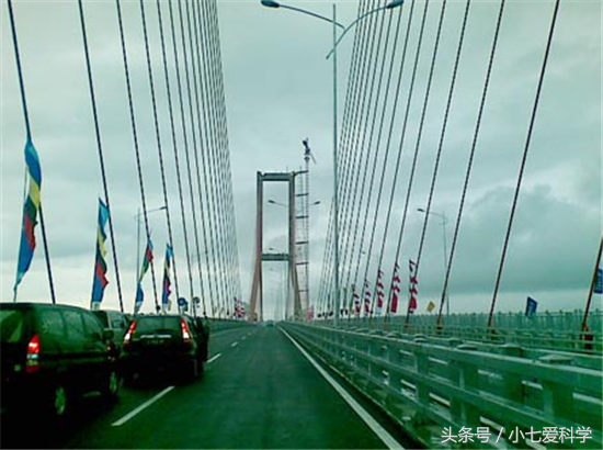 5b540002e316eafc5d02