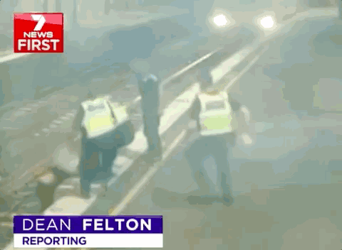 5b5500049b9693e3724c