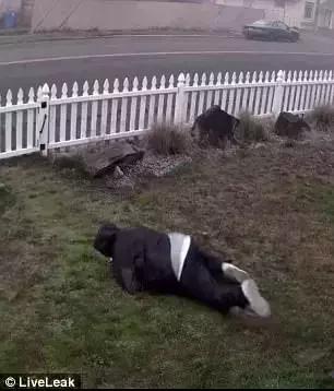 5e760004897a5c323420