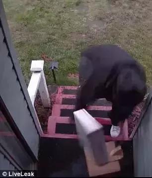 5e7c00002375365de2be