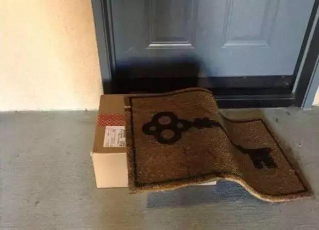 5e7700056d5425e45533