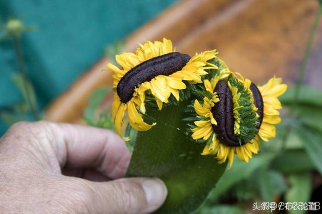 5e7b0000786f565efe81