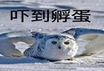 5e7700052857b302b564