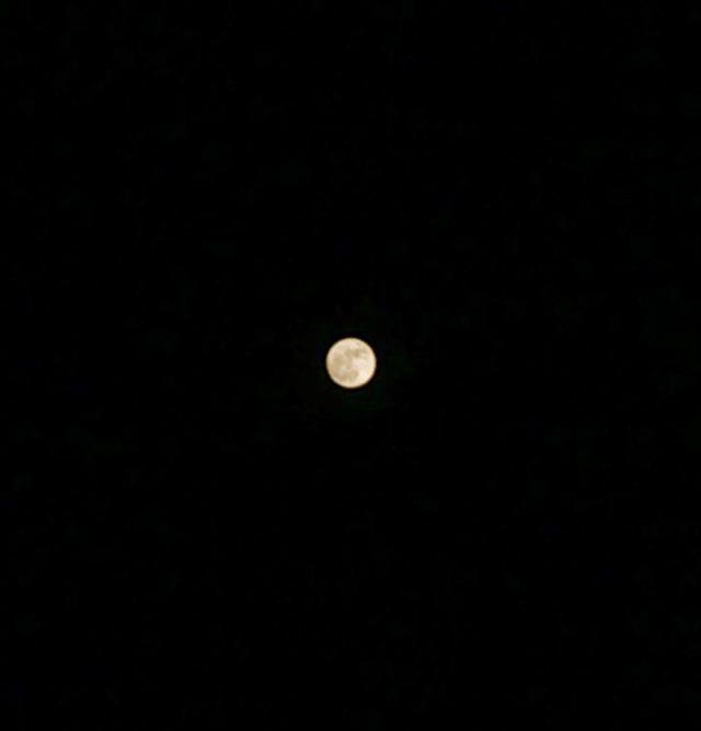 5e720005a7055ef61ac8