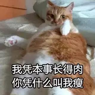 5e800002fc667f7e6119
