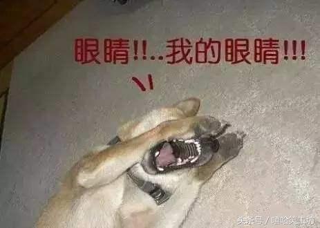 5e7f0002494d46b55dc1