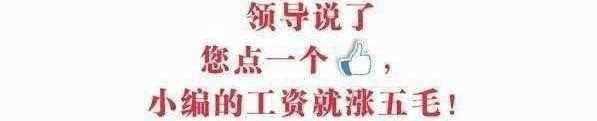 6160000532b4b729fe29