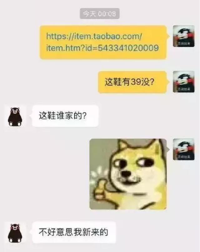 24990017f5fb45cb4e20