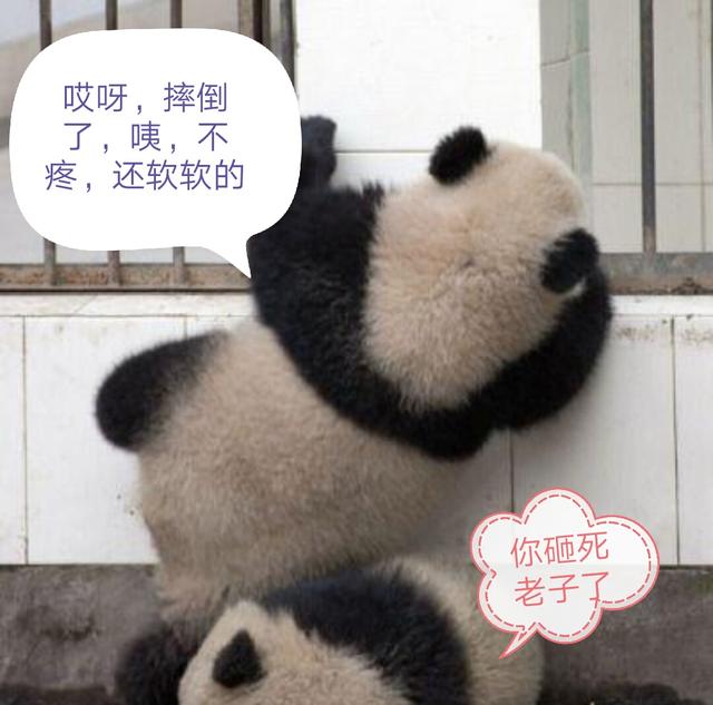66b80003a06d642e0cf4