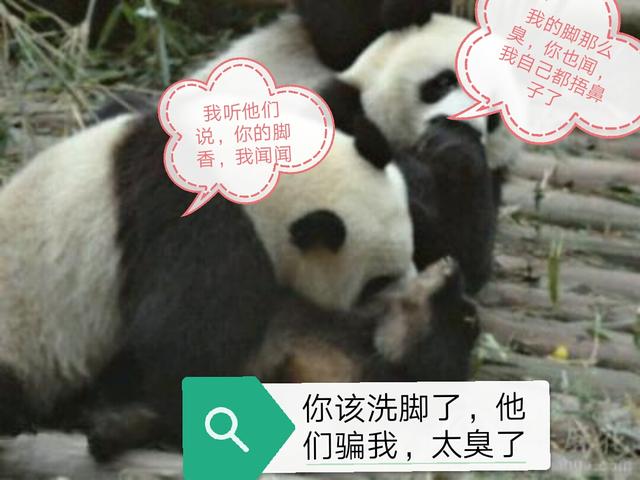 66b900033c6dcd1324bf