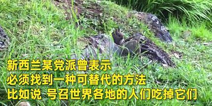 6ec500018a35e54a3f4c