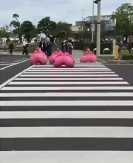 6c3f000465f8685f9c3f
