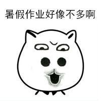 152117456585545b70c7aff