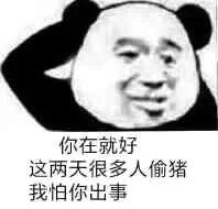 15213850543350ad5615e68