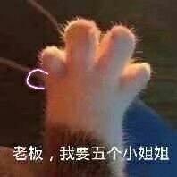 1521284140907ba9007a803