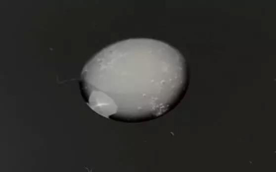 1521527210587fbd9b869e6