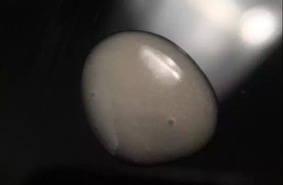 15215272106266413c045a1