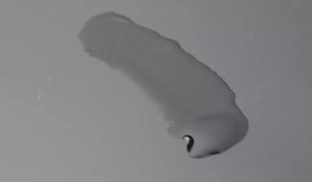 15215272106231cf56e53cf