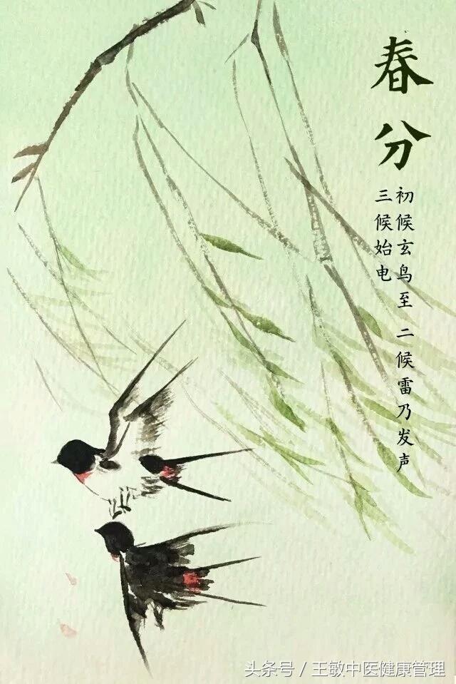 1521630506696f57134431c