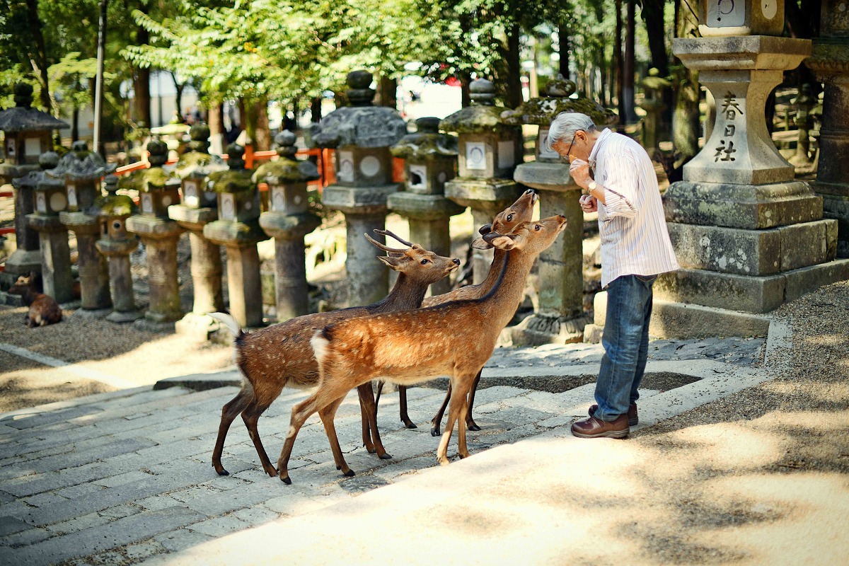 图虫风光摄影：日本街头摄影-12.jpg