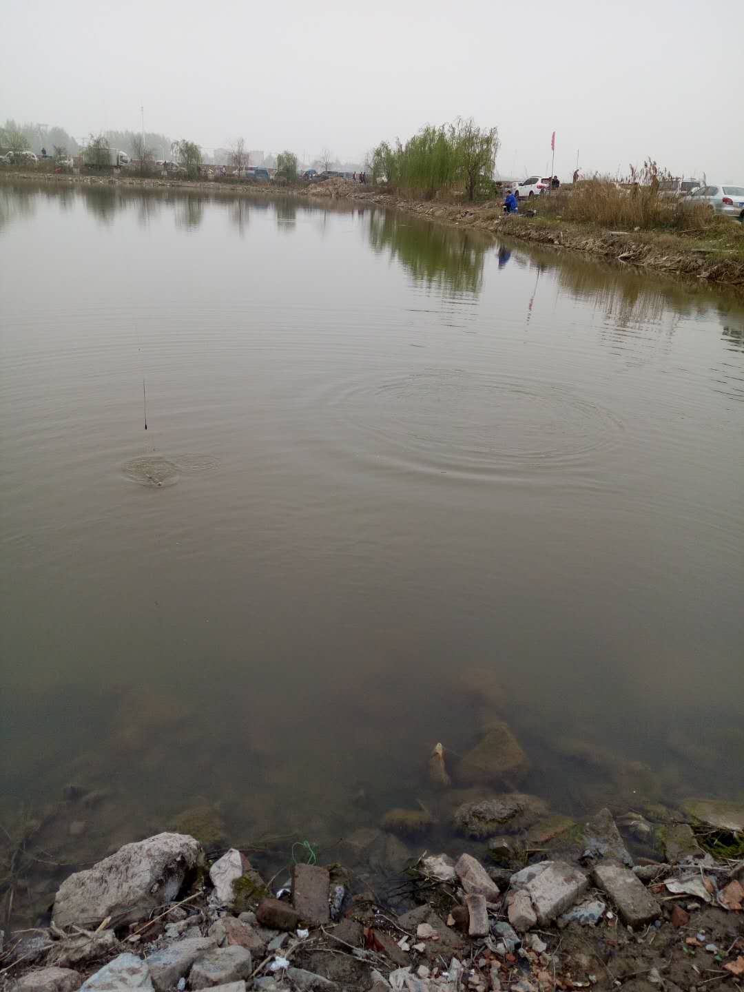 春暖花开和朋友一起去钓鱼，农村小河里的鱼真多，提不动了-3.jpg