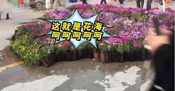 河南郑州：花海美食节，只有美食，游客直呼被骗了-6.jpg