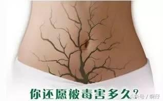 肠道健康关乎人体健康-2.jpg