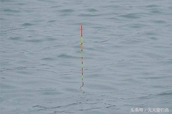这些实用技巧让台钓更适合野钓环境，钓鱼老司机20年经验总结-4.jpg