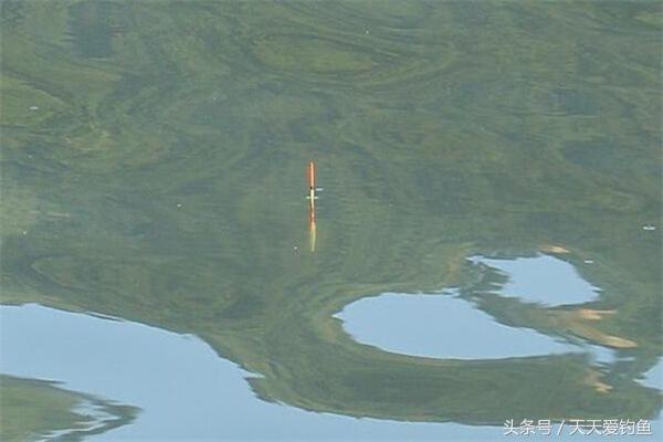 更适合野钓的2种调漂方法，简单实用才是野钓调漂的精髓-5.jpg