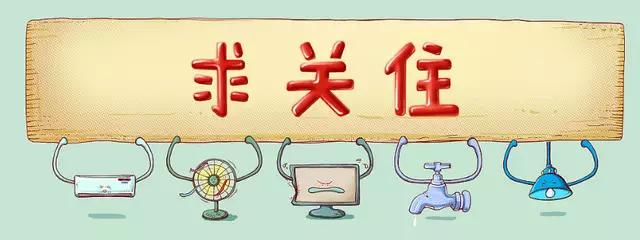 如何挑选健康的狗儿？-7.jpg