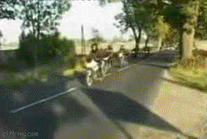 爆笑动态图，让你爆笑一整天-9.jpg
