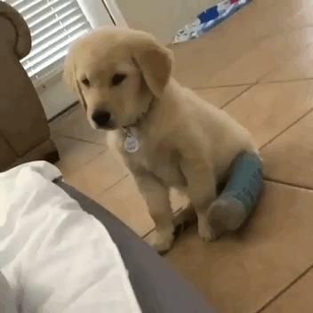 搞笑GIF：老师，这个题很深啊-2.jpg