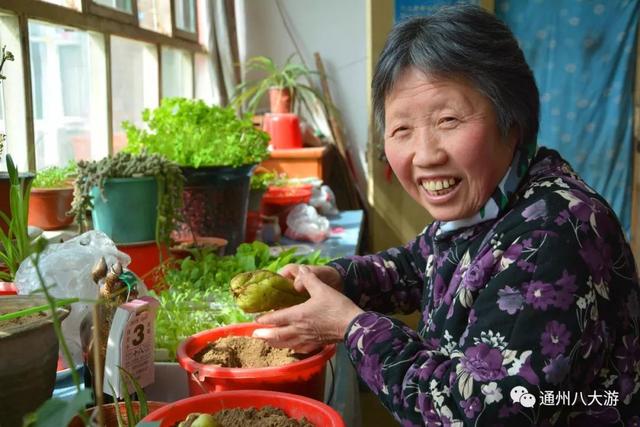 最推荐｜带娃去田间地头撒野，清明踏青之亲子游-11.jpg