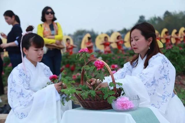 梅花蹲完，樱花蹲；樱花蹲完，桃花蹲；桃花蹲完，梨花蹲；梨花蹲完，郁金香蹲；郁金香蹲完，牡丹花蹲！-9.jpg