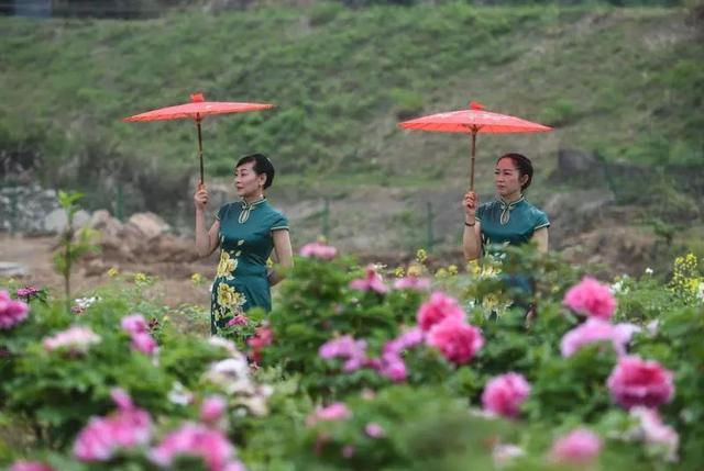 梅花蹲完，樱花蹲；樱花蹲完，桃花蹲；桃花蹲完，梨花蹲；梨花蹲完，郁金香蹲；郁金香蹲完，牡丹花蹲！-13.jpg