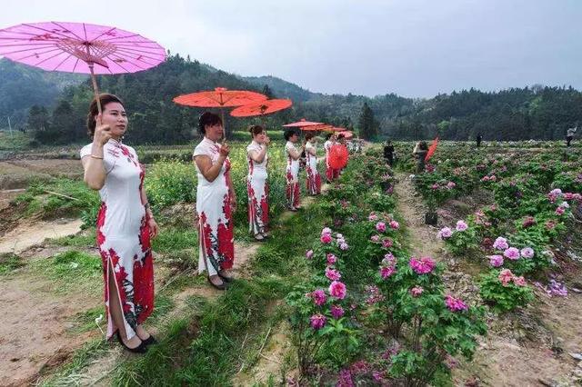 梅花蹲完，樱花蹲；樱花蹲完，桃花蹲；桃花蹲完，梨花蹲；梨花蹲完，郁金香蹲；郁金香蹲完，牡丹花蹲！-17.jpg