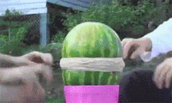 搞笑GIF：牛:“听说你俩挺横啊?”-6.jpg