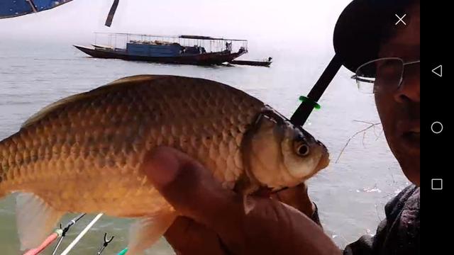 窝料与钓饵如何匹配才能多钓鱼-1.jpg